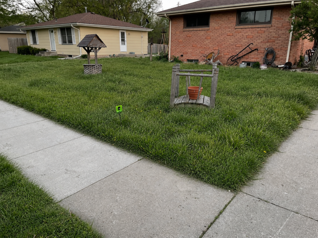 Overgrown residential lawn before mowing and yard maintenance.
