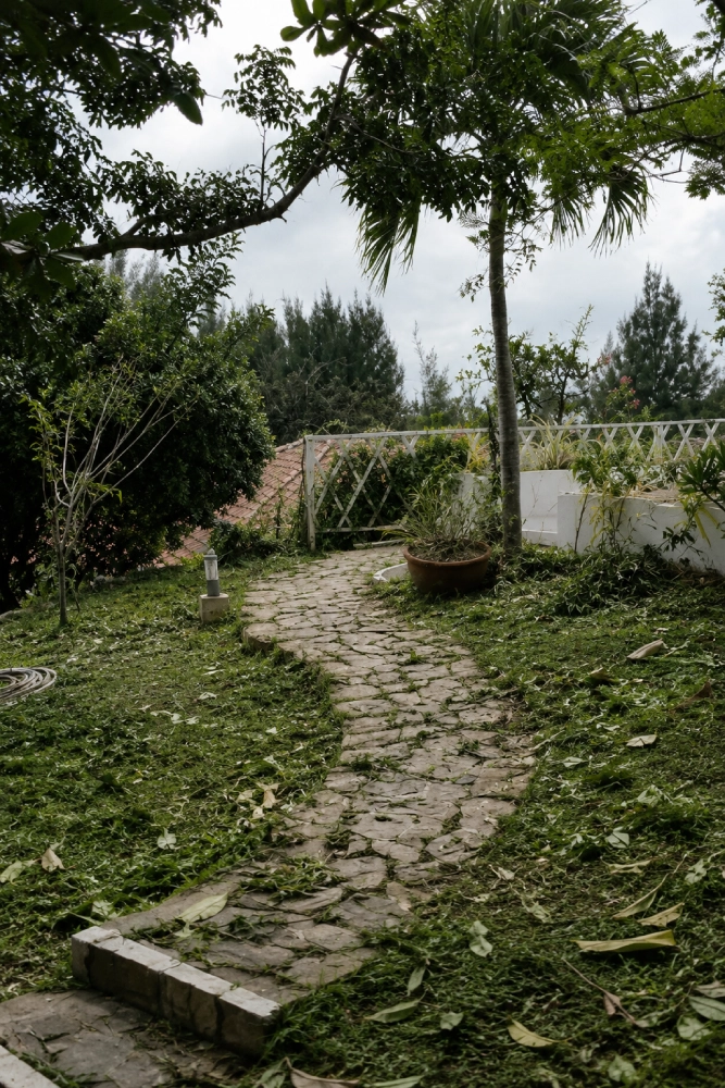 Messy overgrown garden with fallen leaves and an untidy stone path.