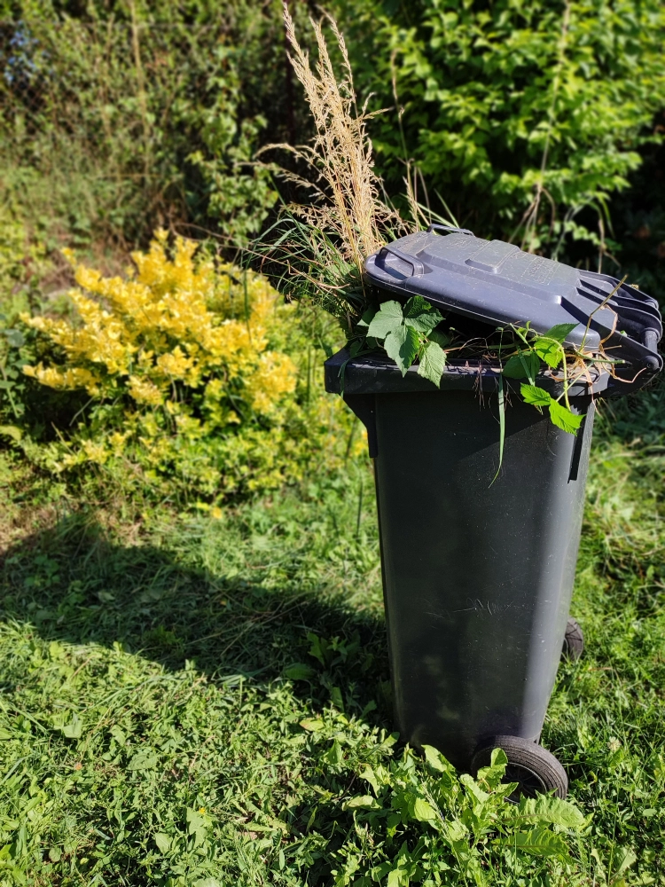 Green waste bin filled with garden clippings and weeds after yard maintenance.