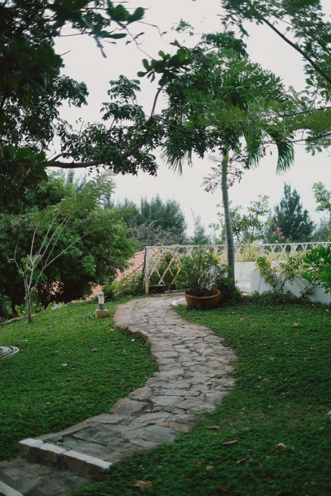 Maintained garden with a stone pathway surrounded by trees and greenery.